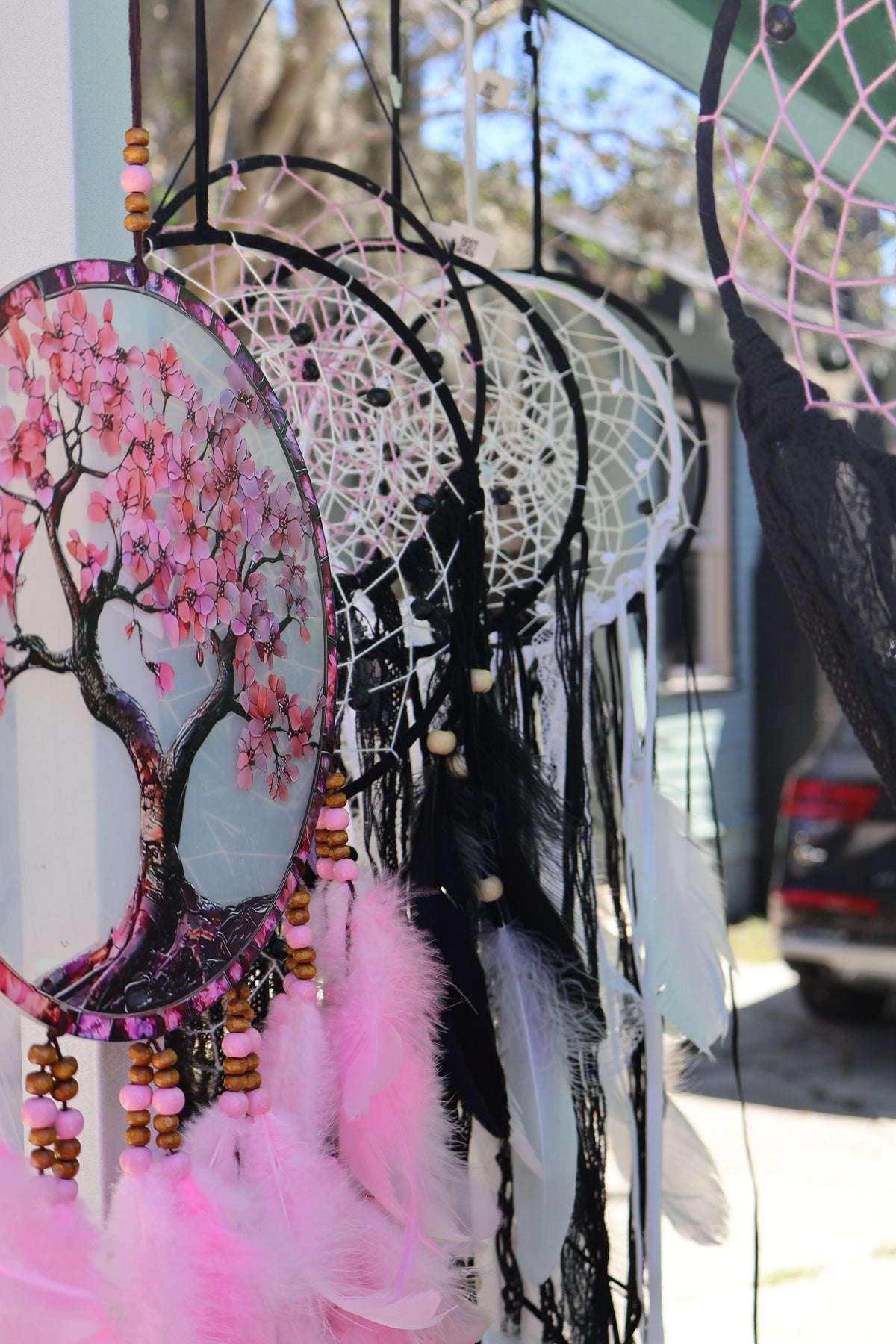 Dream Catchers