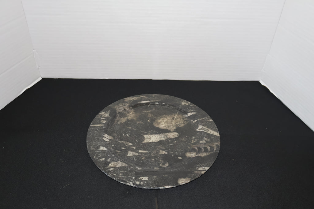 Fossil Plate