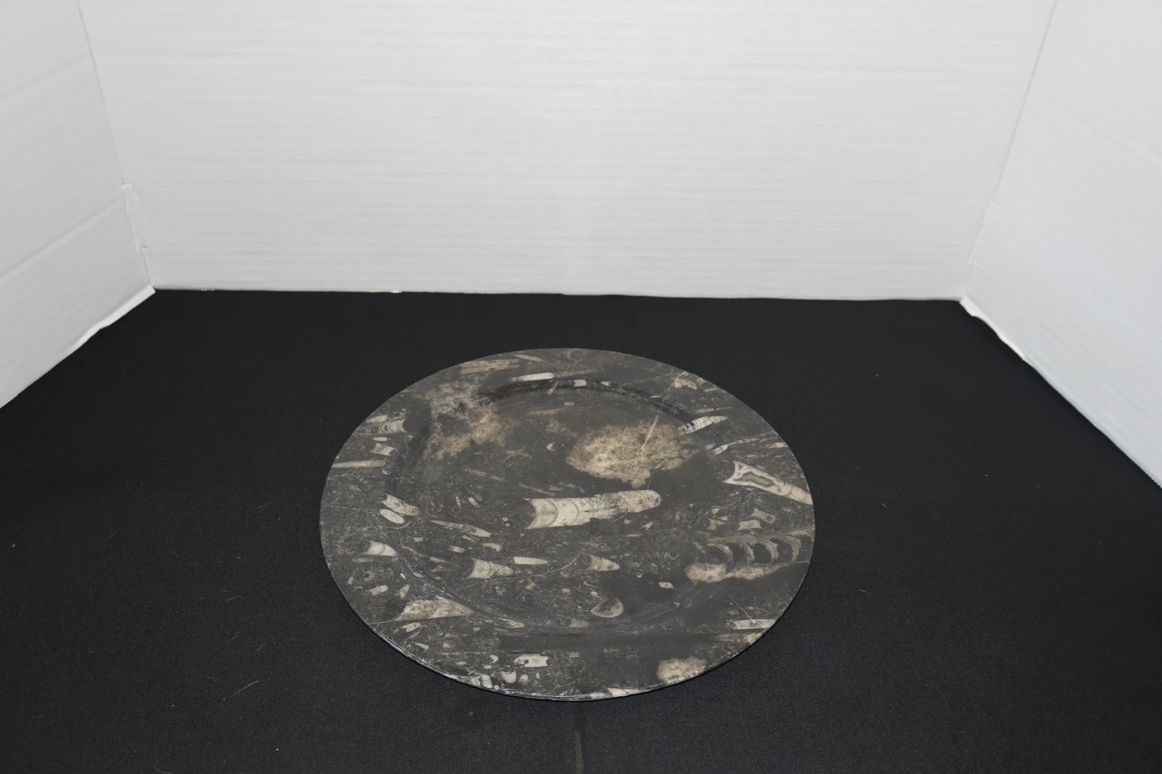 Fossil Plate
