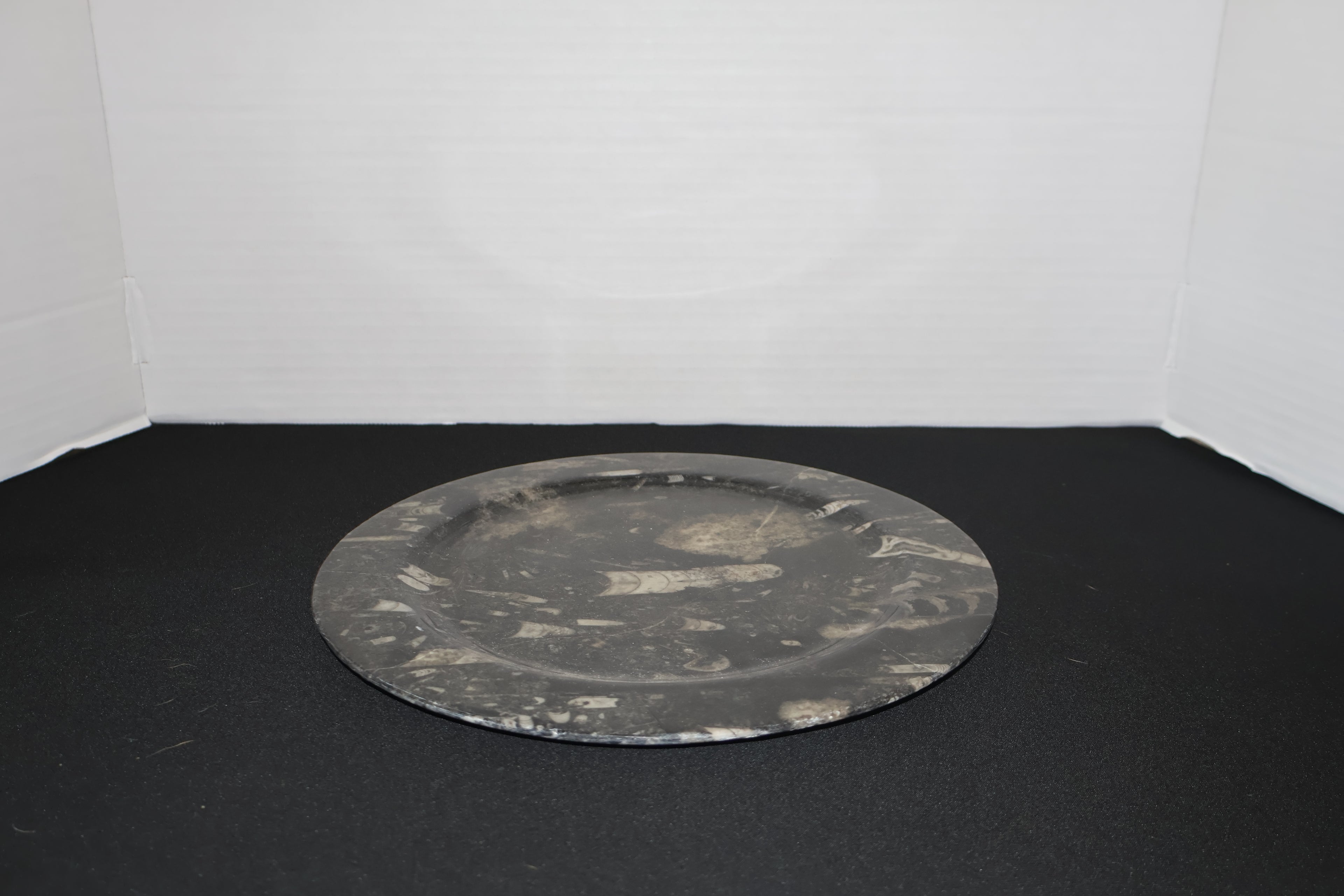 Fossil Plate