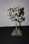 Medium Howlite Tree