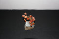 Small Red Coral Tree