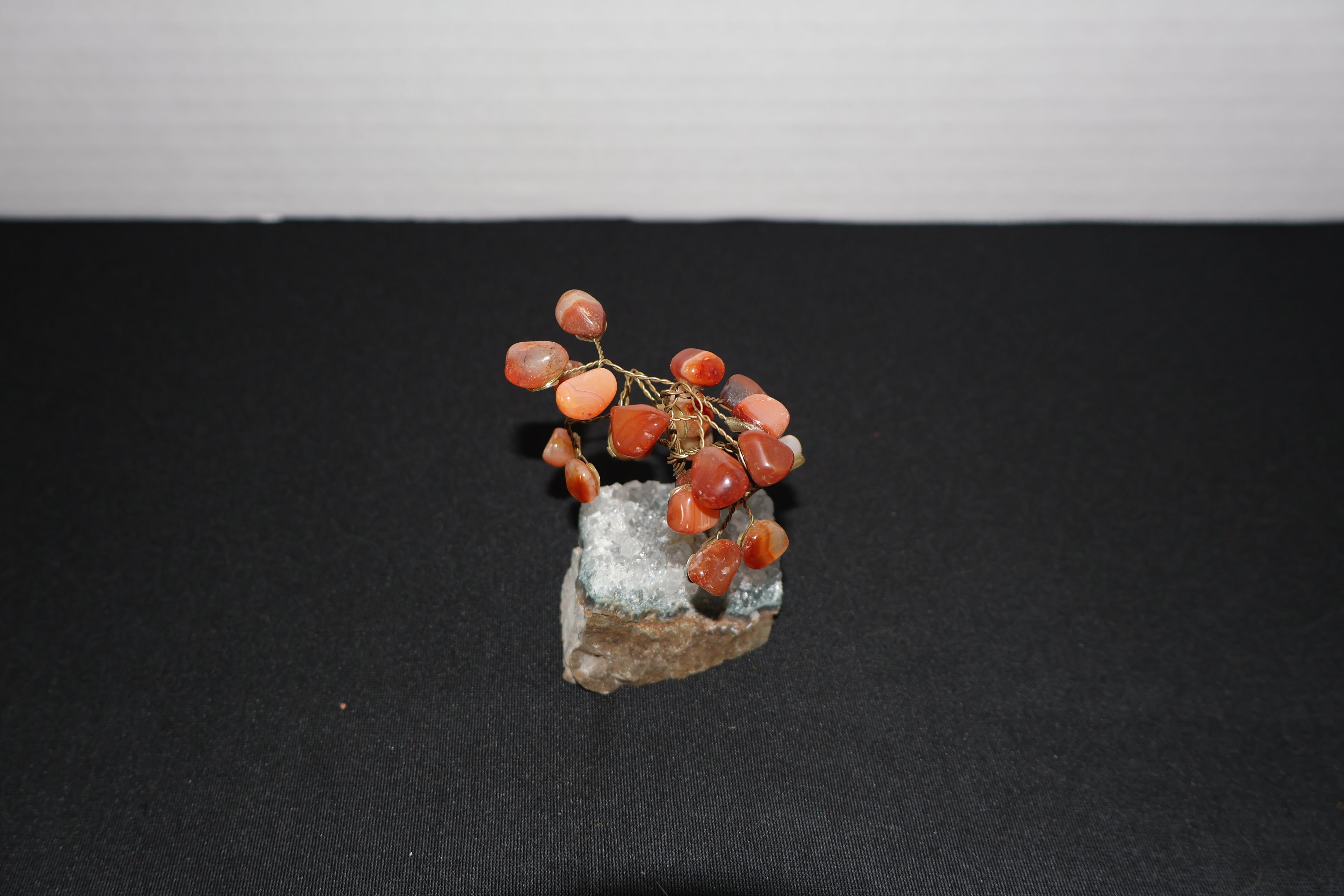 Small Red Coral Tree