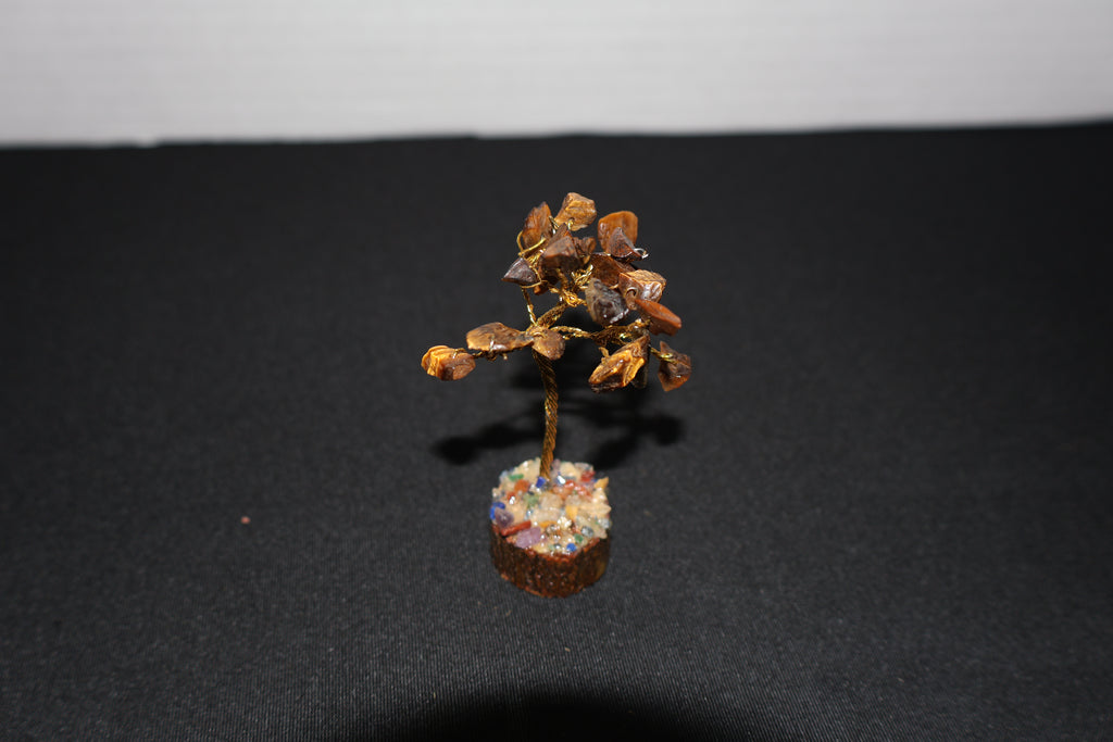 Mini Tigers Eye Tree