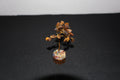 Mini Tigers Eye Tree