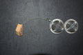 Tigers Eye Tea Strainer